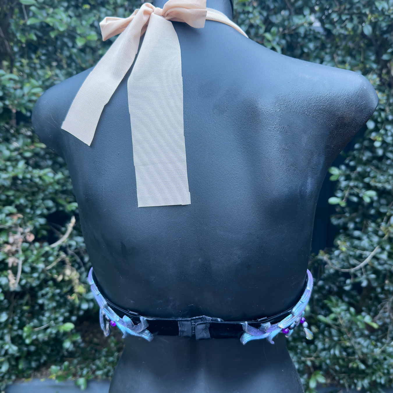 Midnight starfish Back view