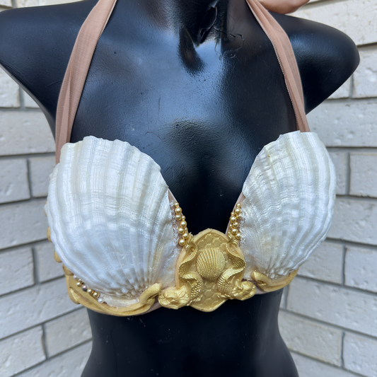 Dragon Fish Top Pearl